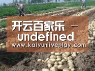 种植基地八