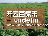 种植基地五(图1)