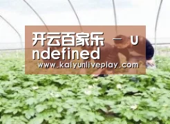 种植基地三