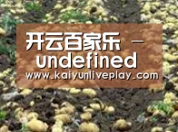 种植基地八(图1)