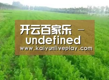 种植基地四