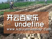 种植基地七(图1)