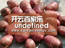 产品展示标题5(图1)